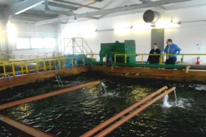 «Газпром ВНИИГАЗ» работает над проблемой очистки сточных вод